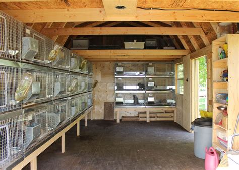 metal rabbit house|bunny cages.